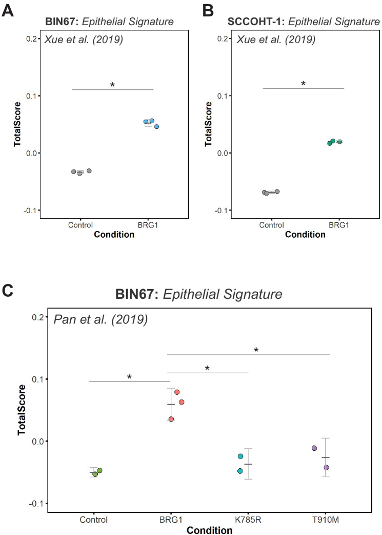 Figure 2—figure supplement 2.