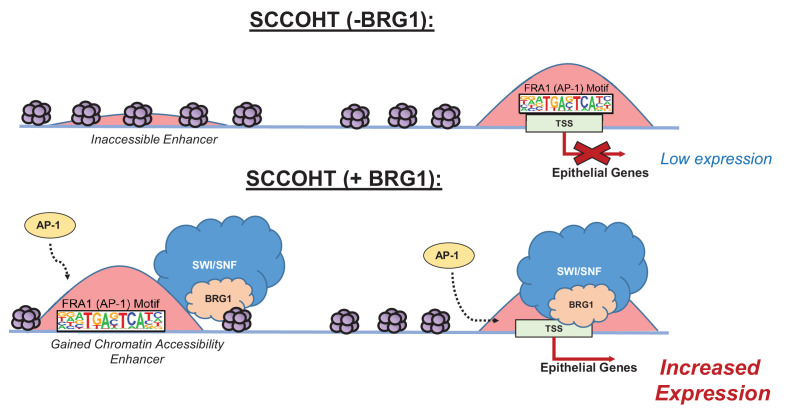 Figure 7.