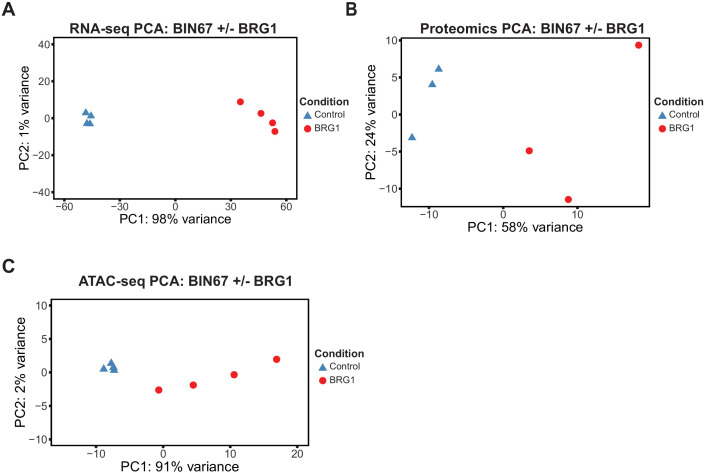 Figure 1—figure supplement 2.