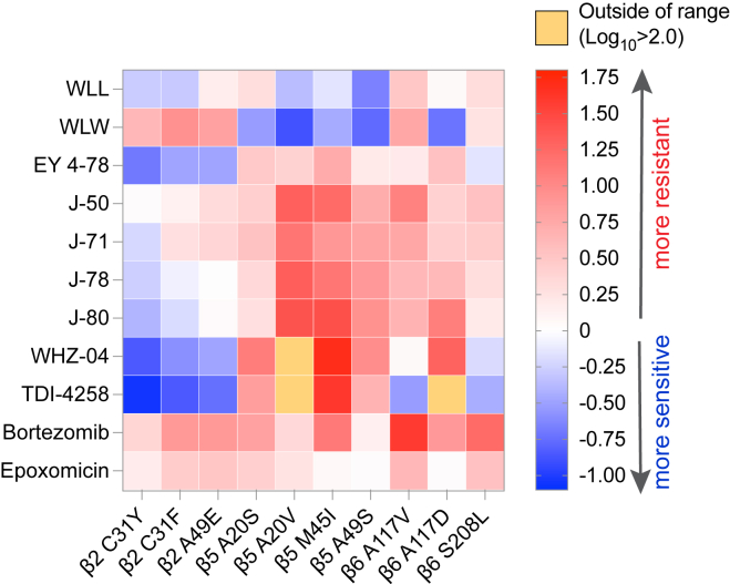 Figure 2