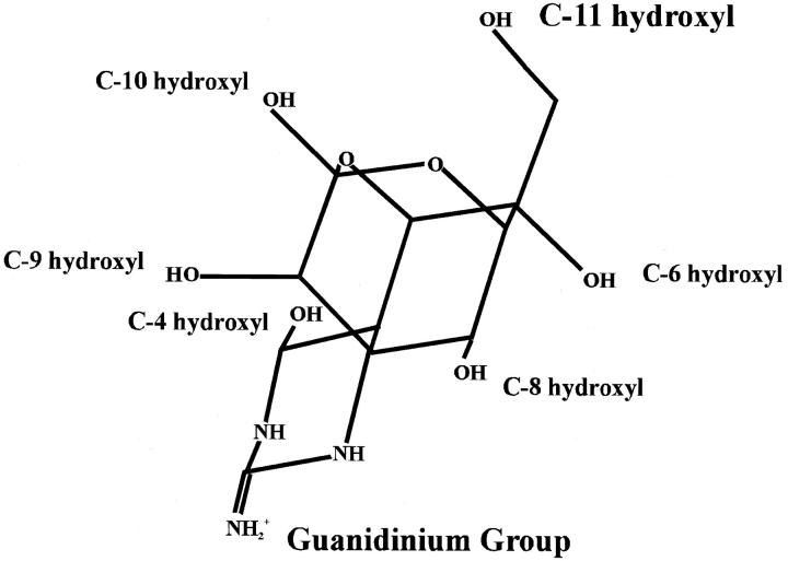 FIGURE 2