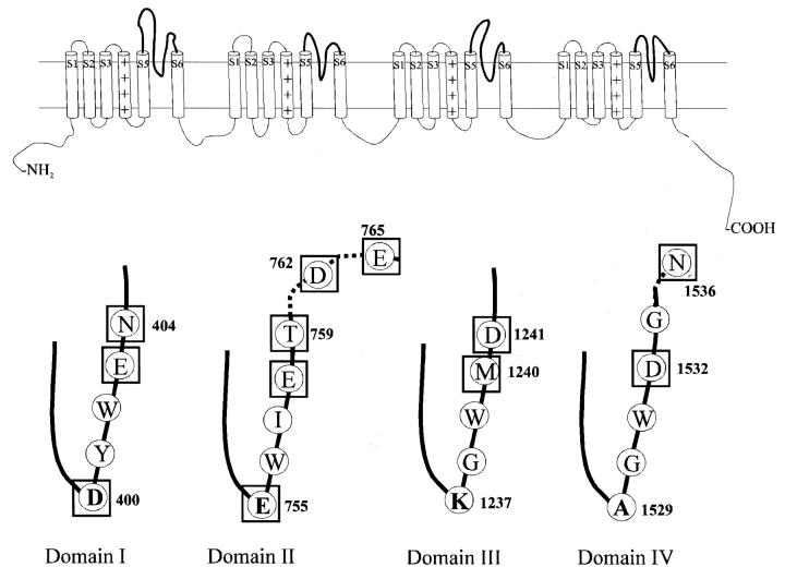 FIGURE 1