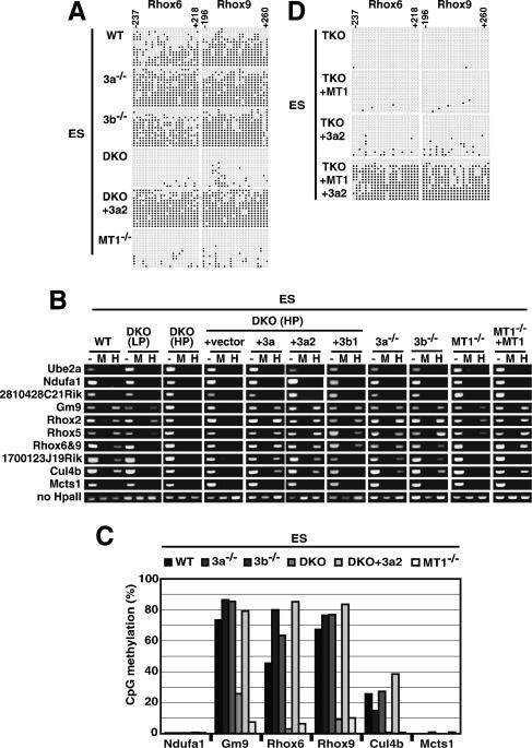 Figure 6.