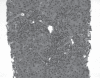 Figure 1)