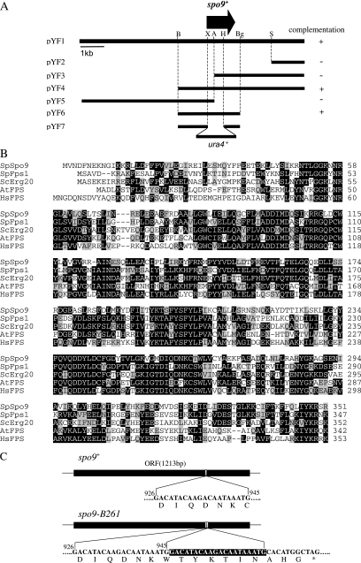 Figure 2.