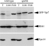 Figure 10.