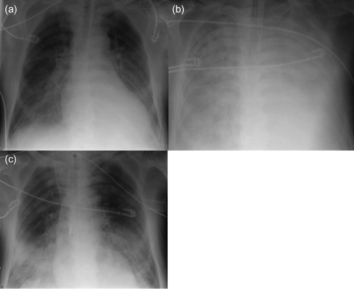 Figure 1: