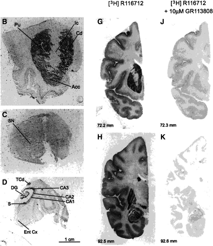 Fig. 19.