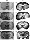 Fig. 26.