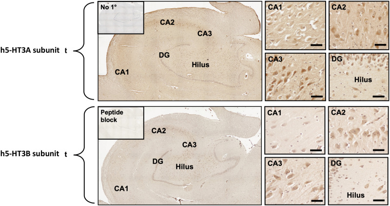 Fig. 15.