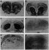 Fig. 25.