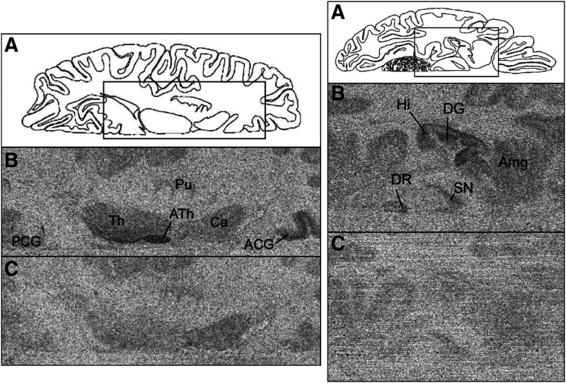 Fig. 27.