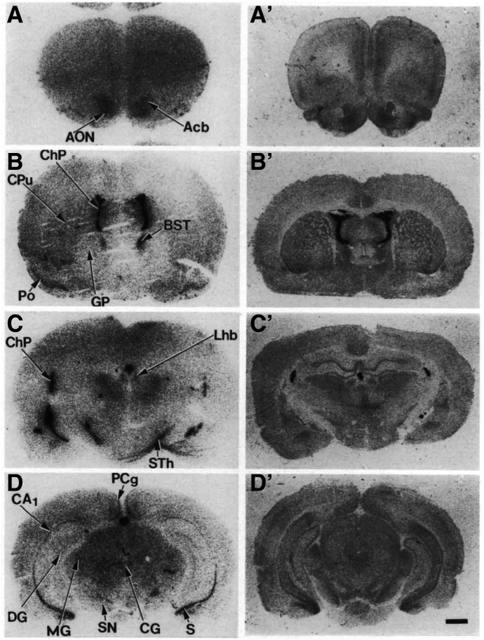 Fig. 13.