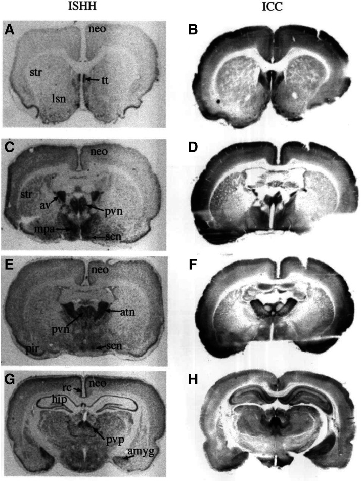 Fig. 26.