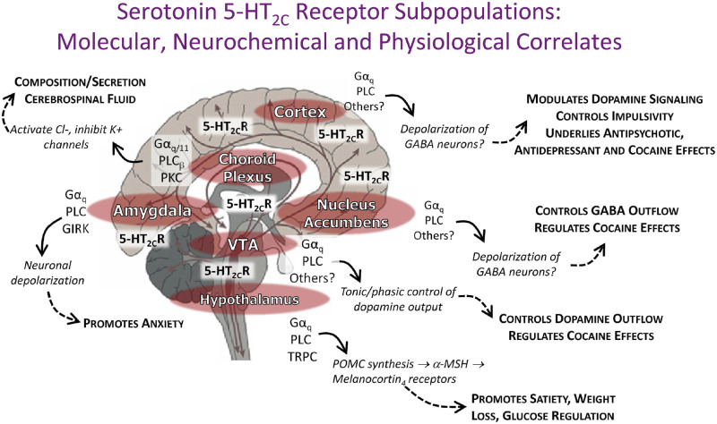 Fig. 14.