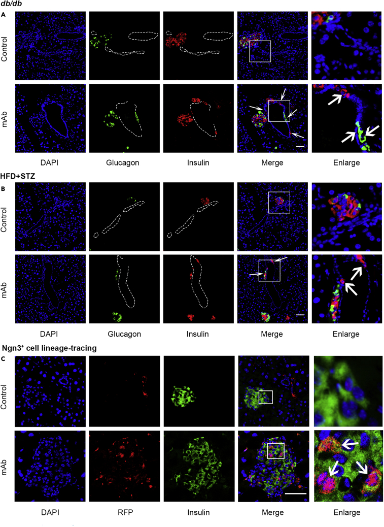 Figure 3