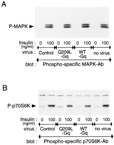 FIG. 10