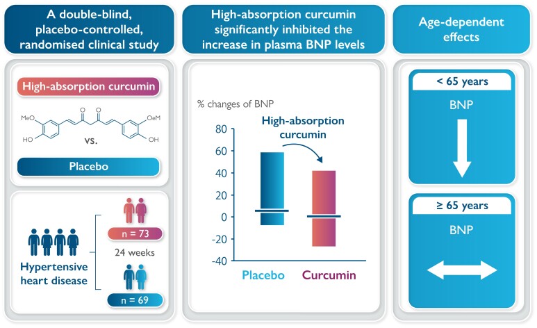 Graphical abstract