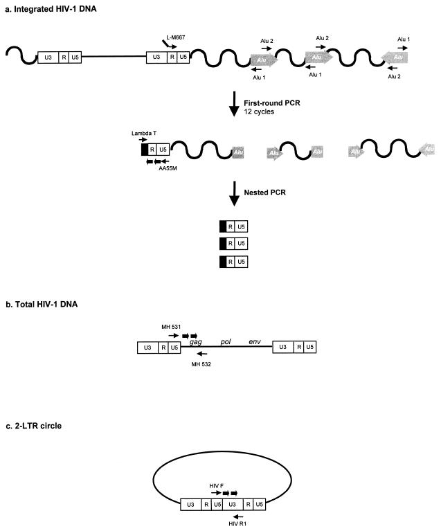 FIG. 1.