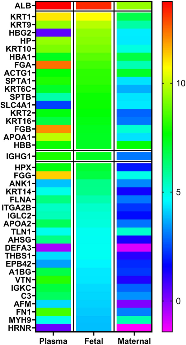 Fig. 3