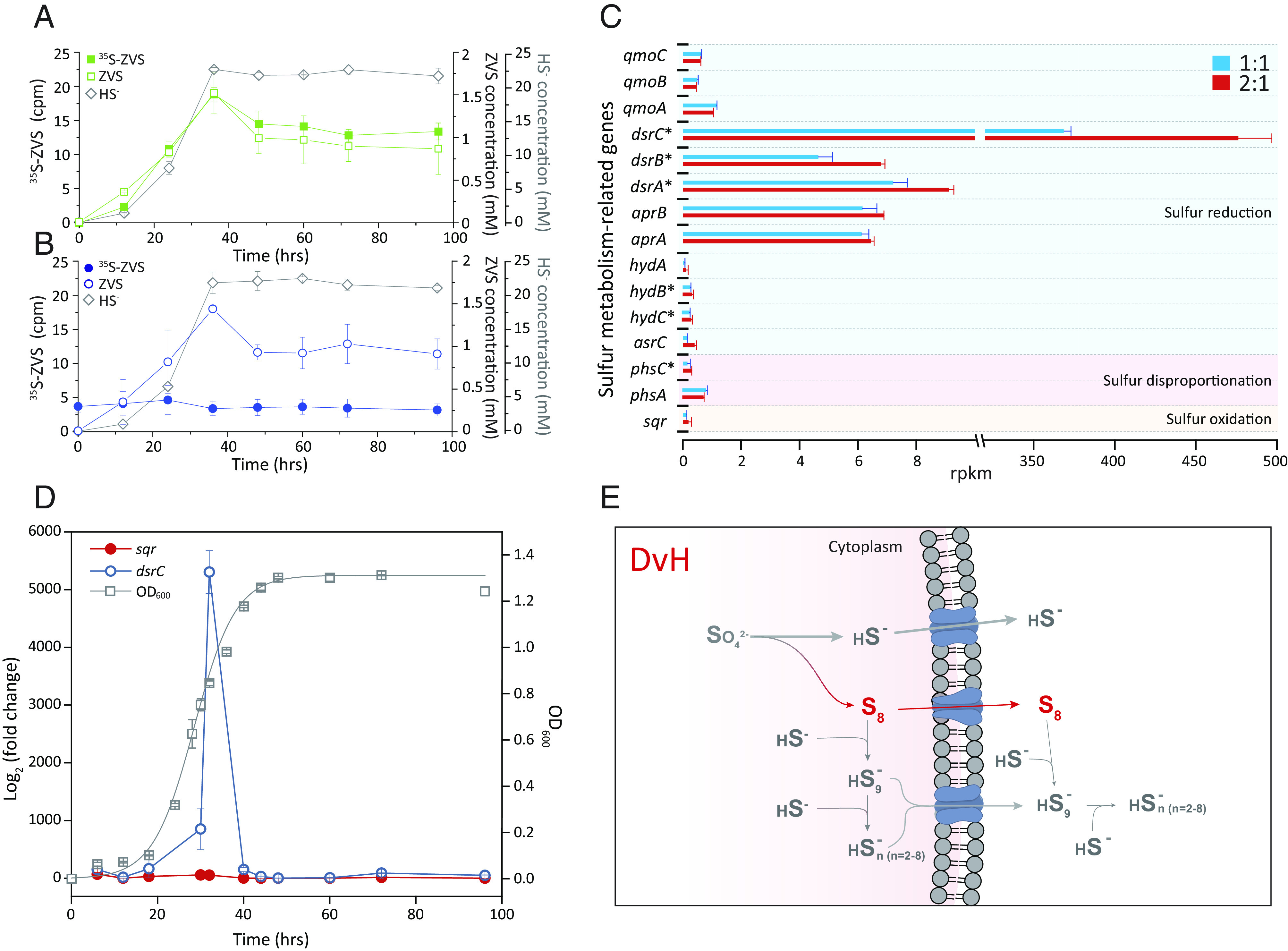 Fig. 2.