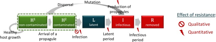 Fig 3