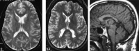 <sc>fig</sc> 2.