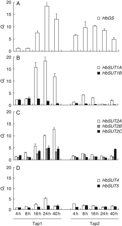 Fig. 4.