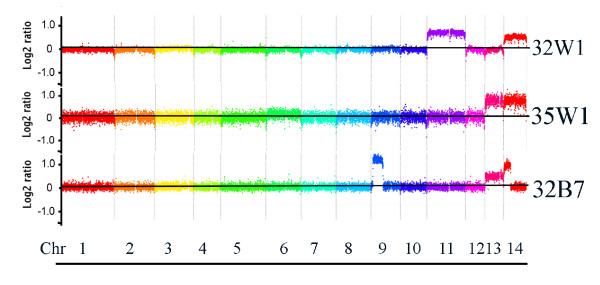 Figure 7