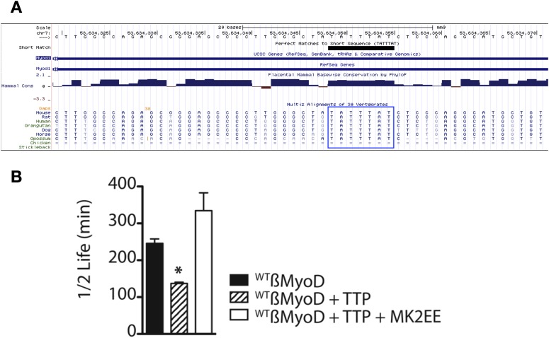 Figure 4—figure supplement 1.