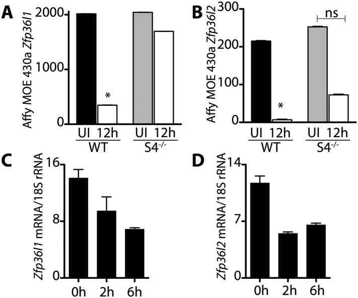 Figure 1—figure supplement 1.