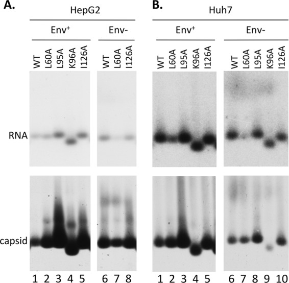 FIG 3