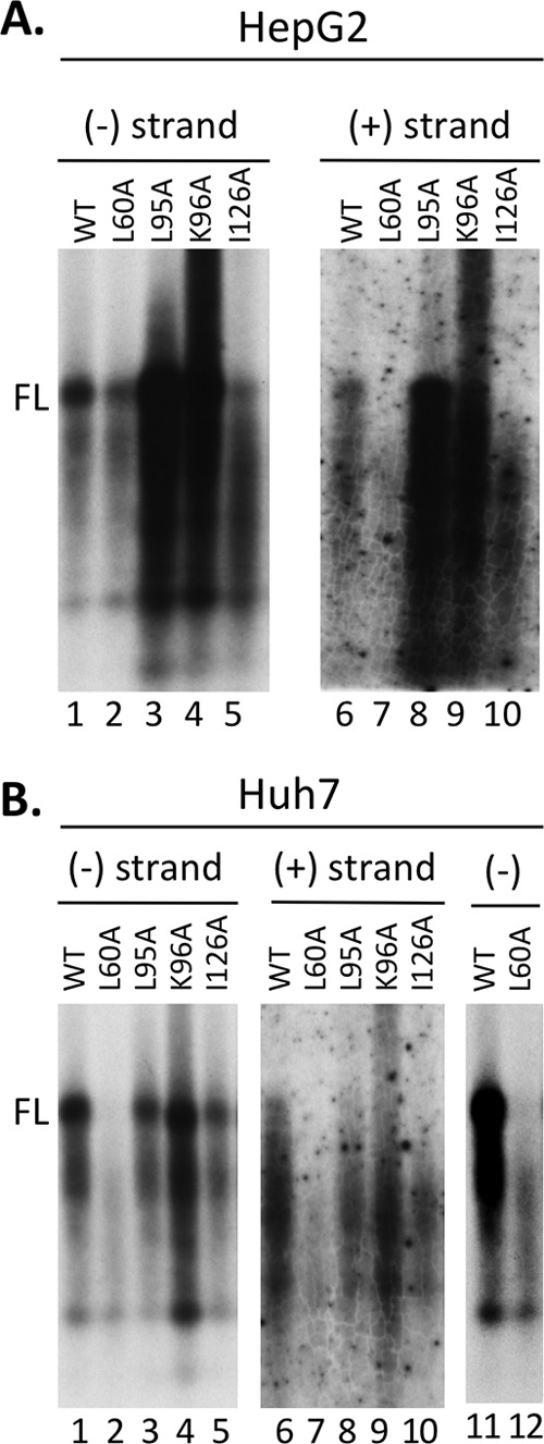 FIG 2