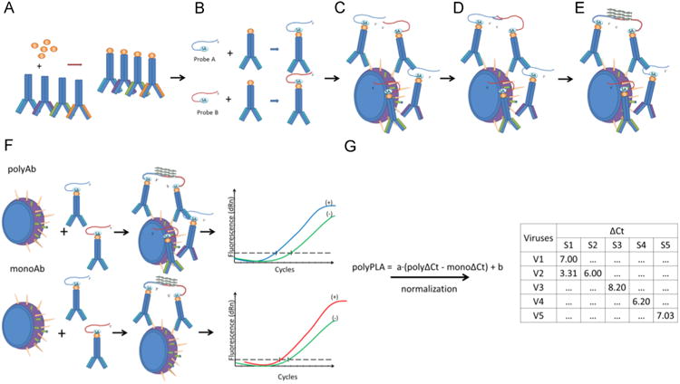 Fig.1