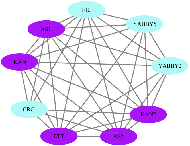 Figure 11