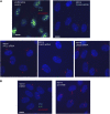 Figure 2—figure supplement 1.