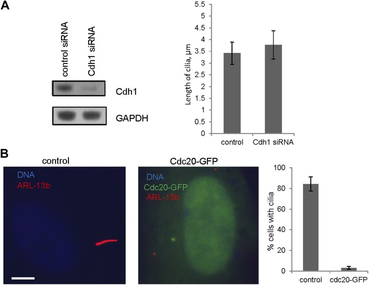 Figure 2—figure supplement 2.