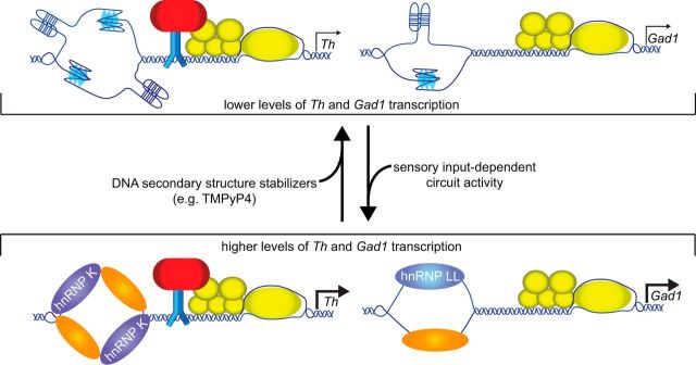 Figure 10.