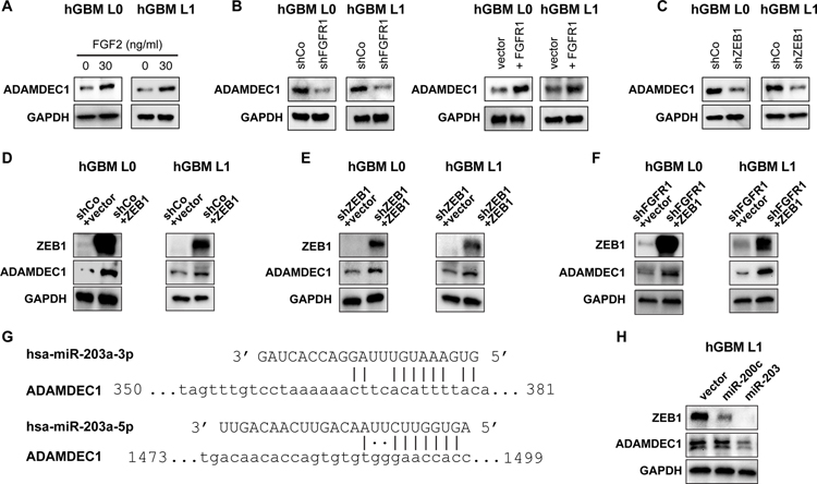 Figure 6: