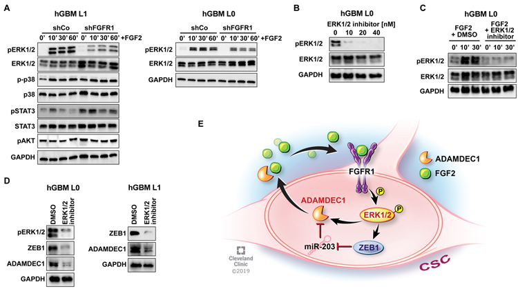 Figure 7: