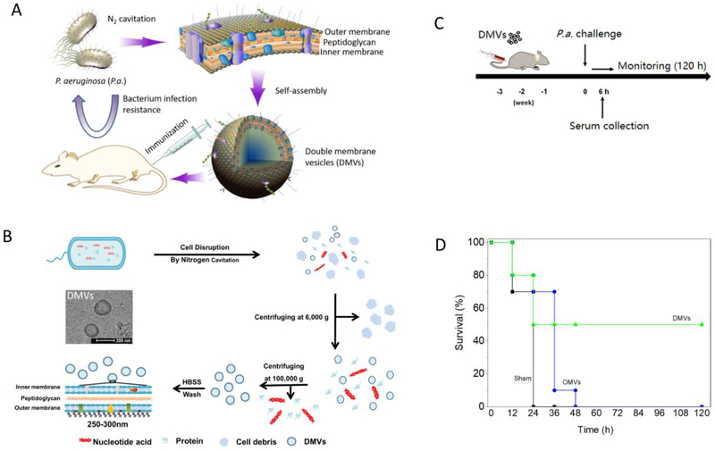 Figure 10: