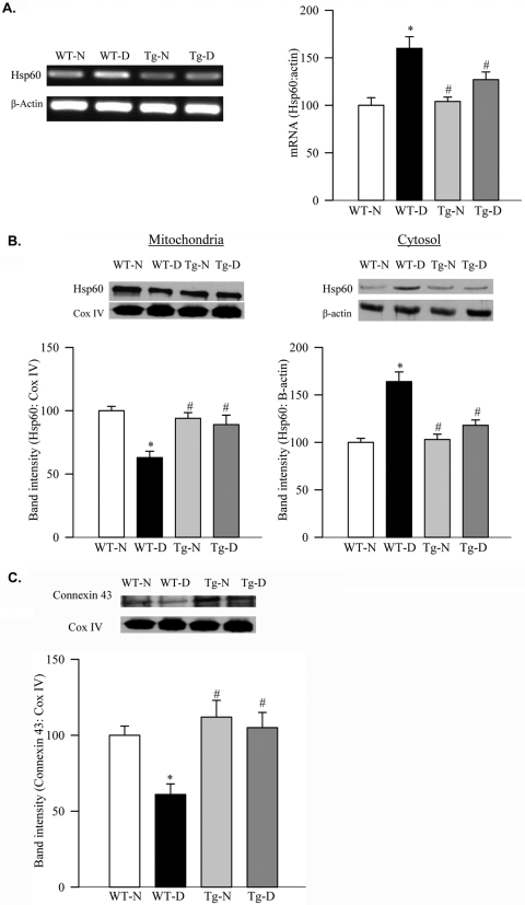 Figure 6.