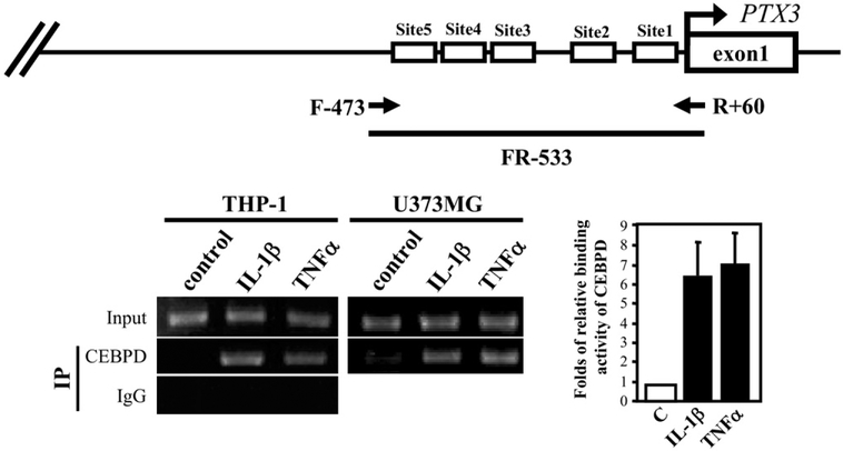 Fig. 6.