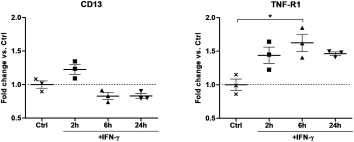 Figure EV3