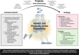 Image, graphical abstract