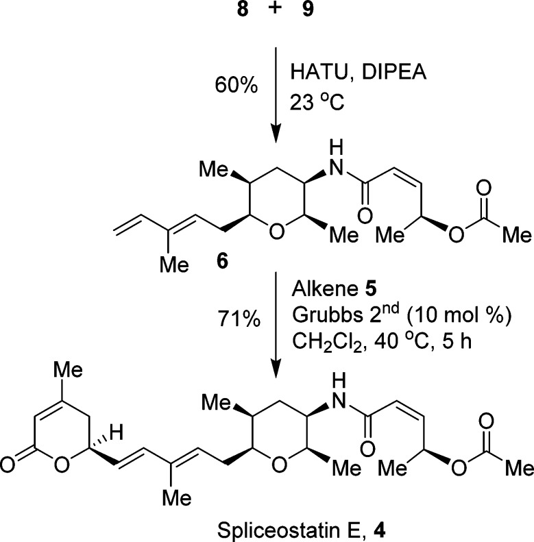 Scheme 5