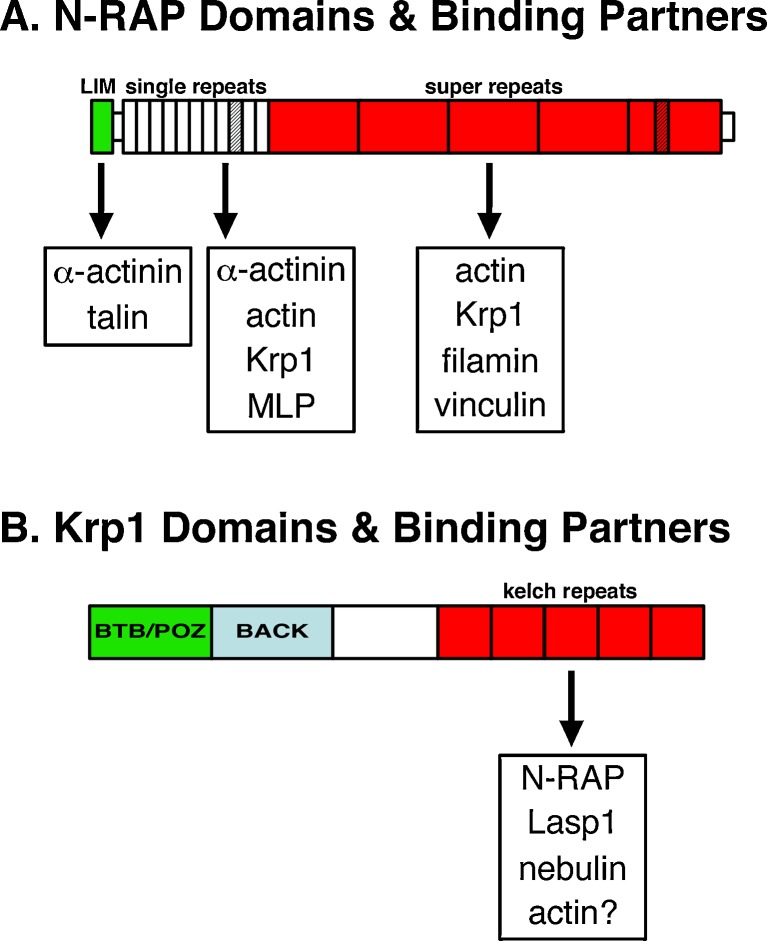 Fig. 2