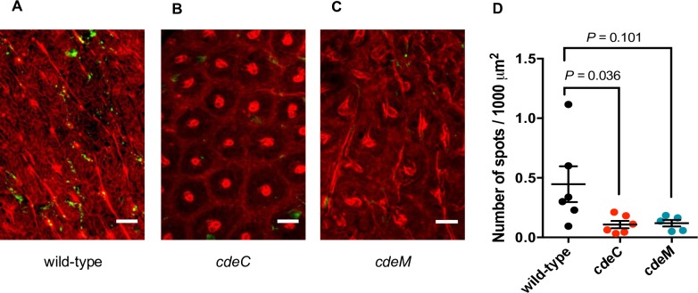 Fig 6