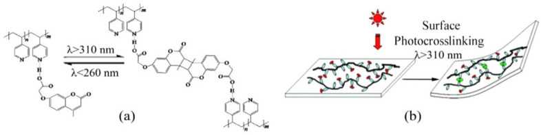 Figure 38