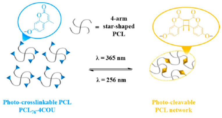 Figure 37